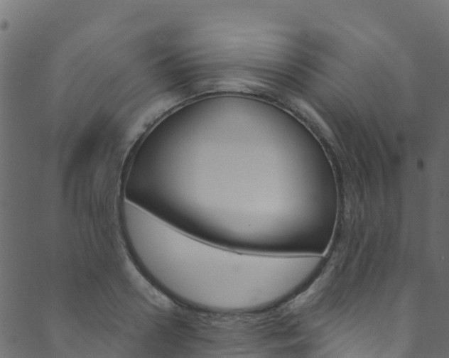 X0000089830938200706280935