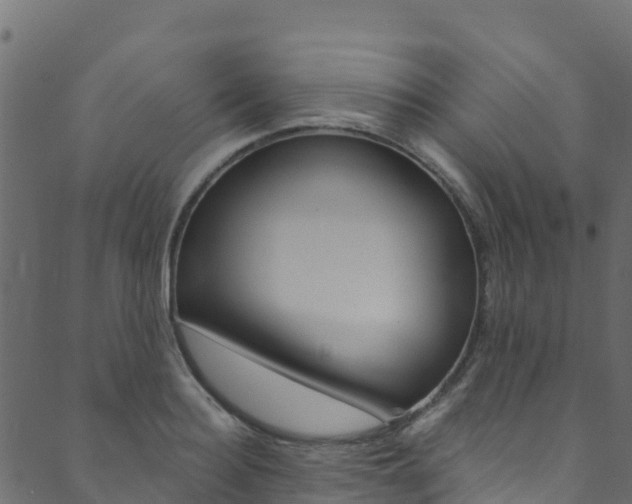 X0000089830940200706280935