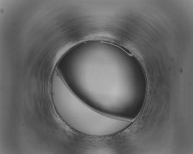 X0000089830960200706280935