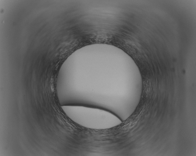 X0000089830962200706280934