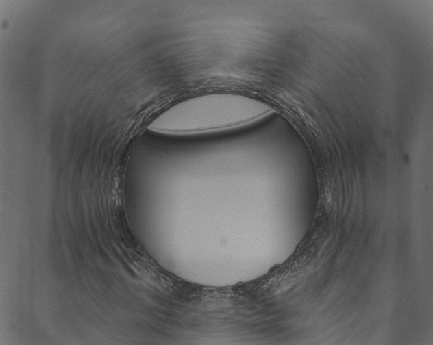 X0000089830964200706280934