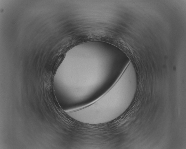 X0000089831012200706280933