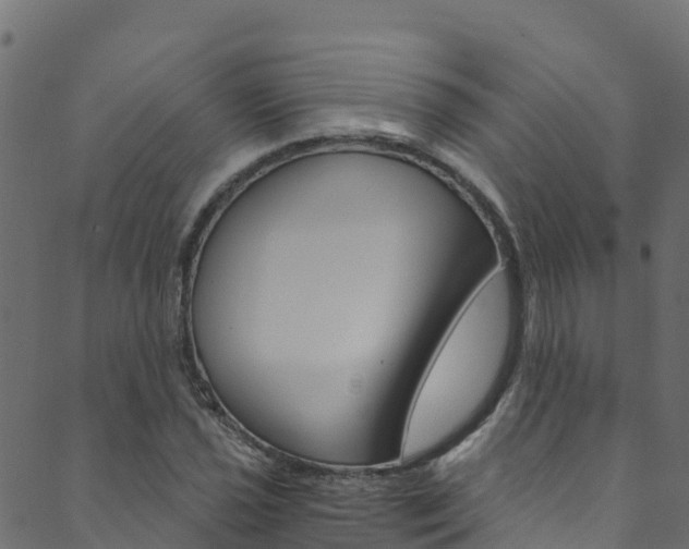 X0000089831021200706280933
