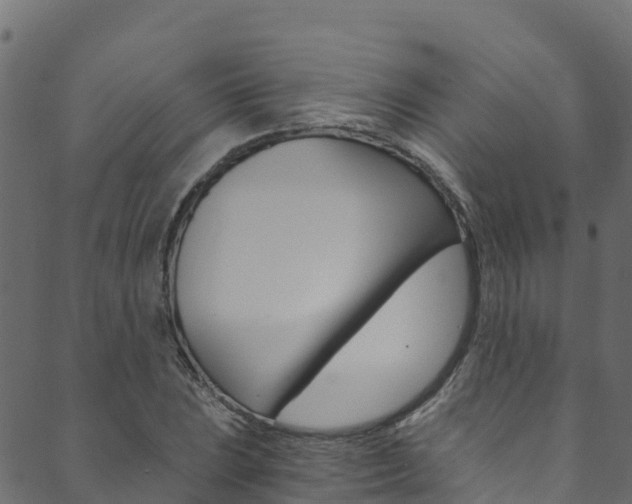 X0000089831023200706280933