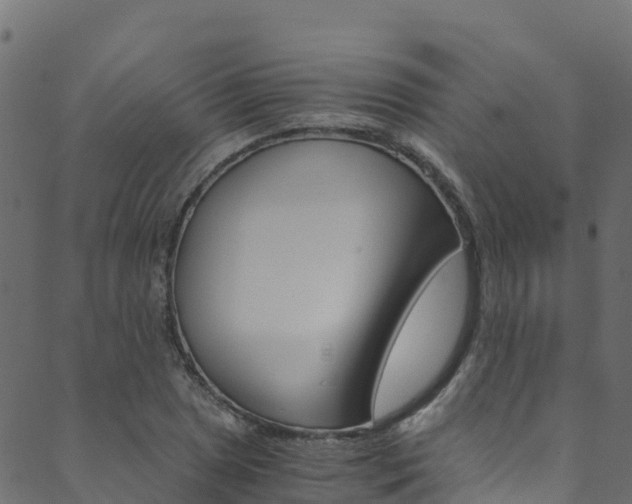 X0000089831025200706280933