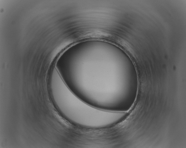 X0000089831026200706280933