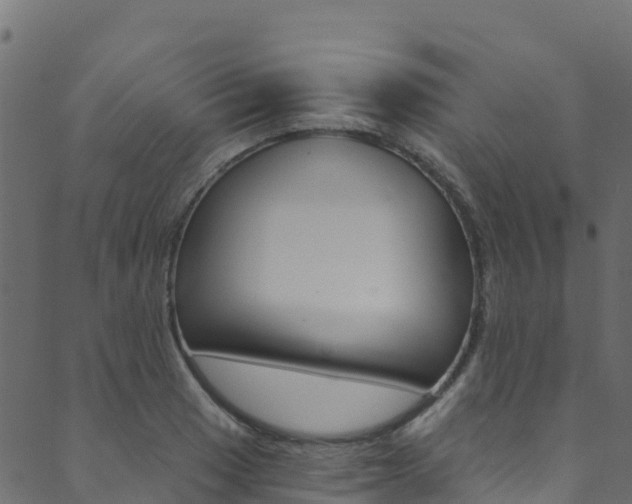 X0000089831033200706280933