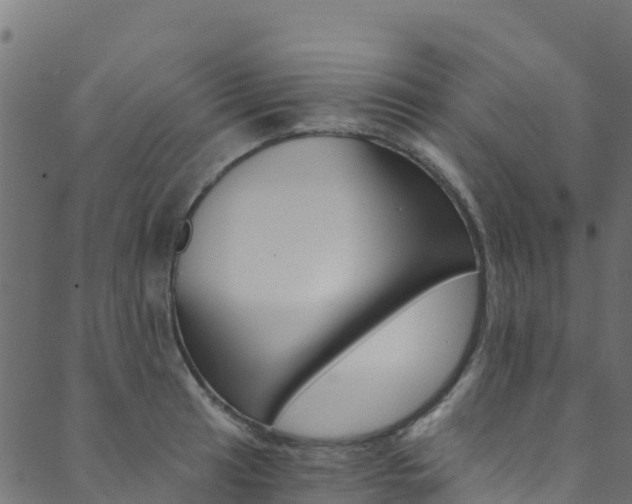 X0000089831041200706280933