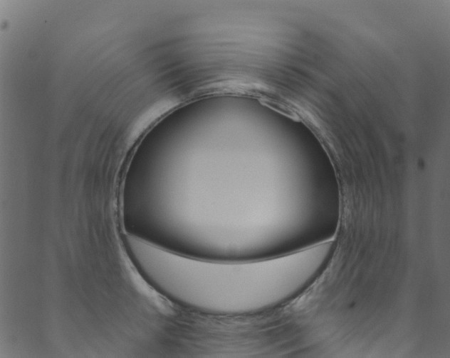 X0000089831042200706280933