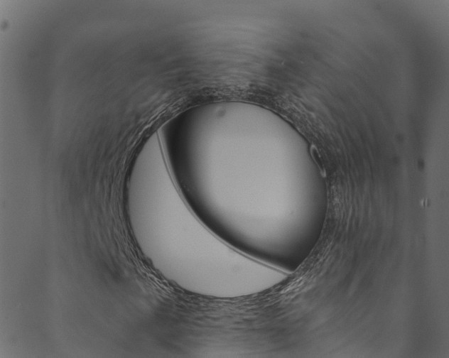 X0000089831057200706280933