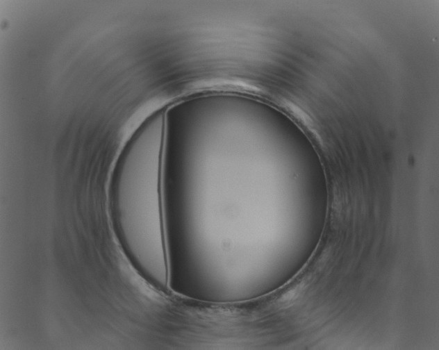 X0000089831082200706280933