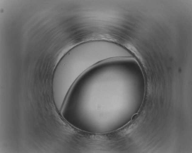 X0000089831089200706280932
