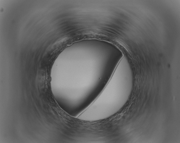 X0000089831111200706280931