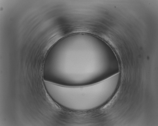 X0000089831137200706280932