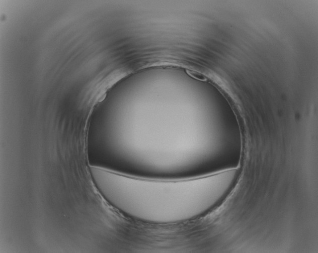 X0000089831145200706280932