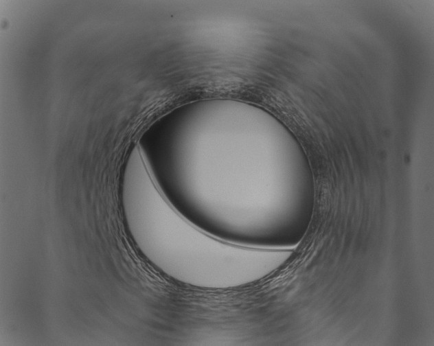 X0000089831153200706280931