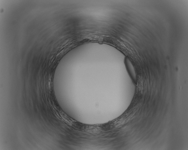 X0000089831154200706280931