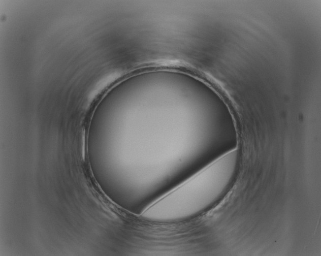 X0000089831171200706280931