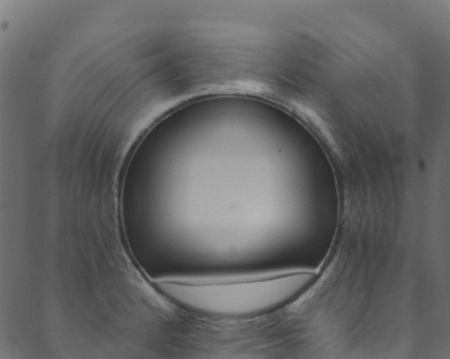 X0000089831184200706280931