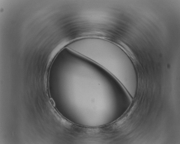 X0000089831196200706280931