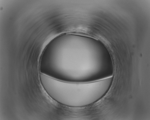 X0000089831200200706280931