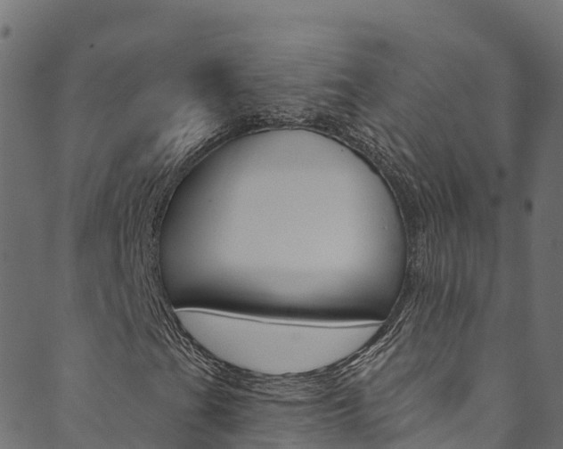 X0000089831201200706280930
