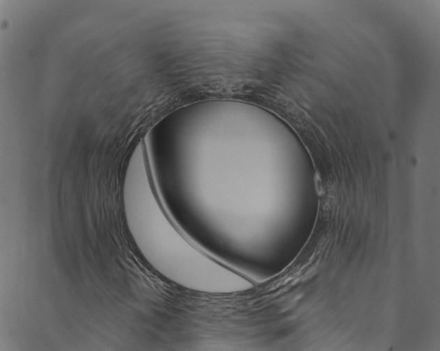 X0000089831202200706280930