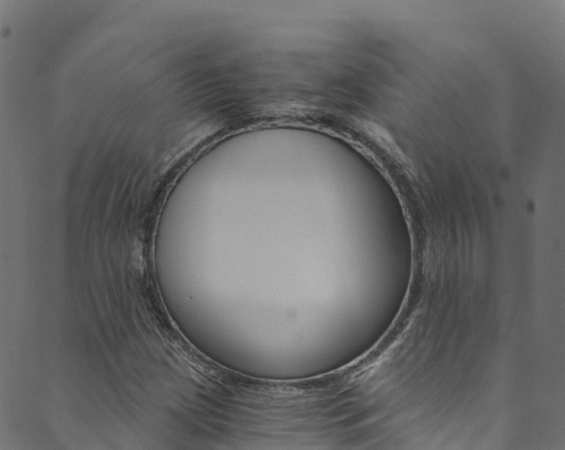 X0000089831209200706280930