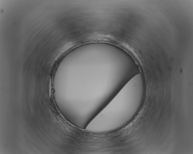X0000089831219200706280930