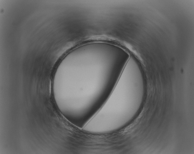 X0000089831221200706280930