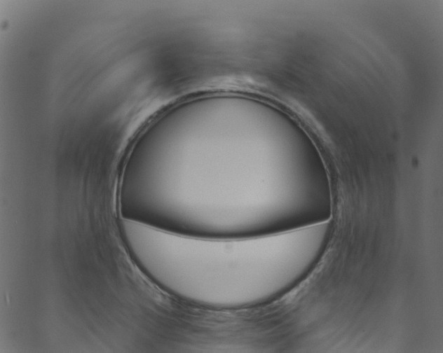 X0000089831224200706280930