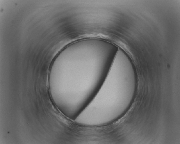 X0000089831228200706280930