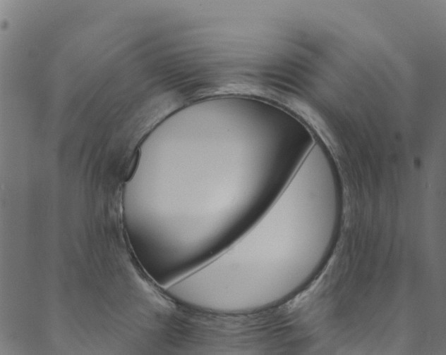 X0000089831241200706280930