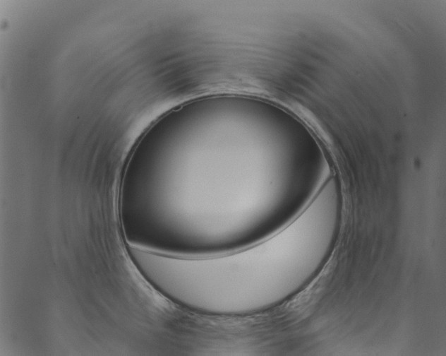 X0000089831246200706280931
