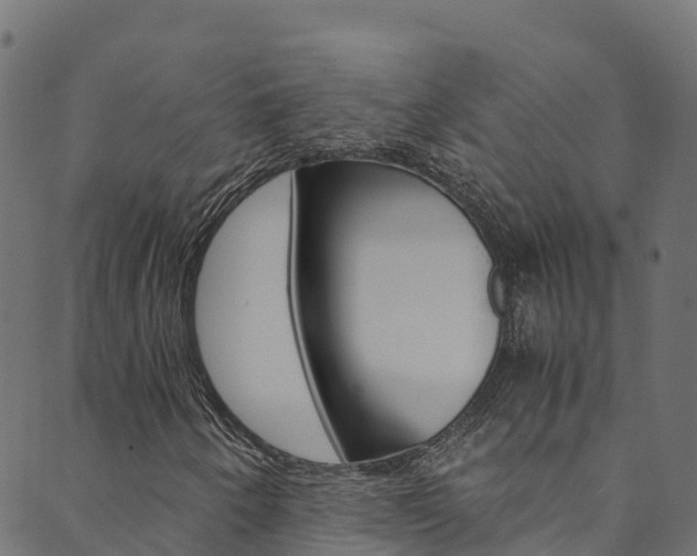 X0000089831250200706280930