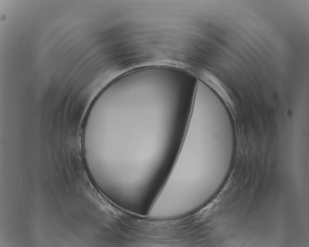 X0000089831292200706280929