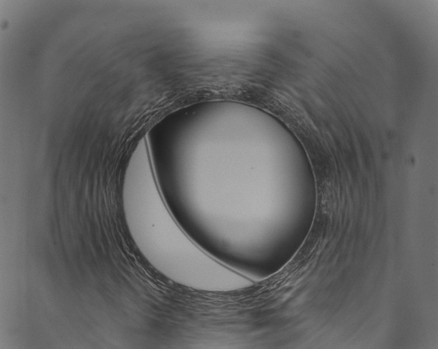 X0000089831298200706280928