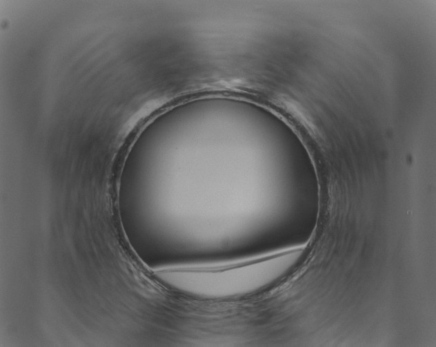 X0000089831308200706280928
