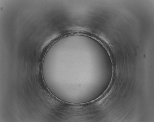 X0000089831309200706280928
