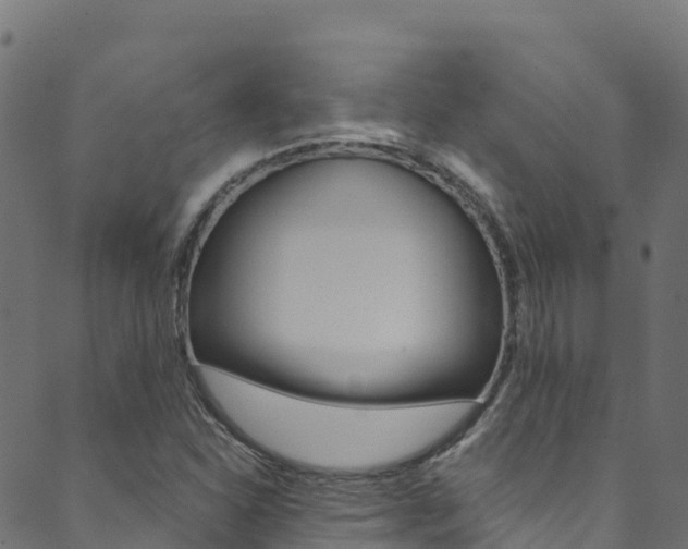 X0000089831310200706280928