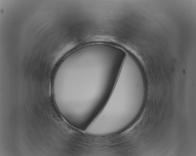 X0000089831317200706280929