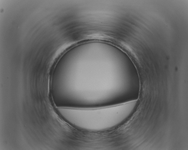 X0000089831323200706280929