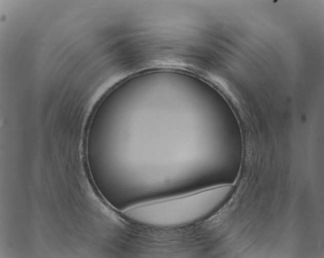 X0000089831331200706280929