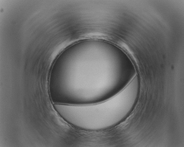 X0000089831336200706280929