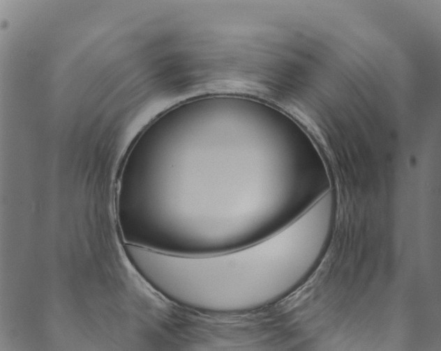X0000089831342200706280929