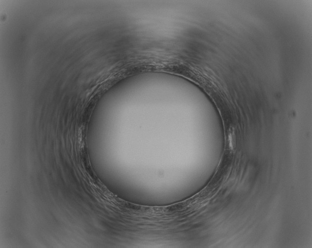 X0000089831347200706280928