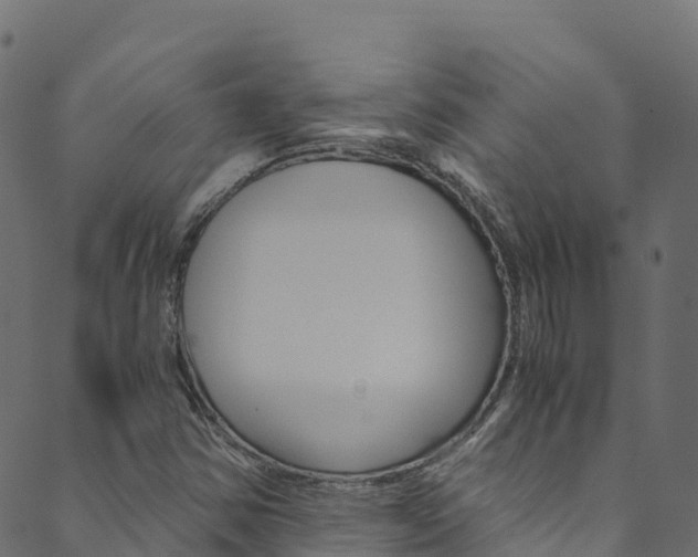 X0000089831354200706280928
