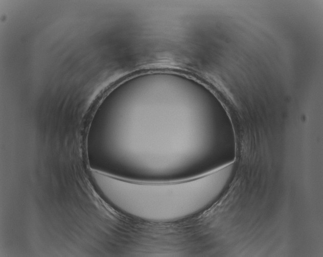 X0000089831356200706280928