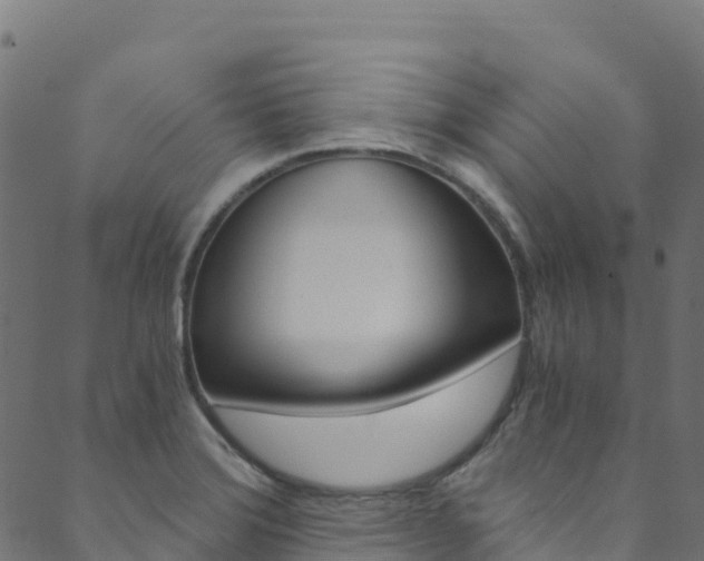 X0000089831372200706280928