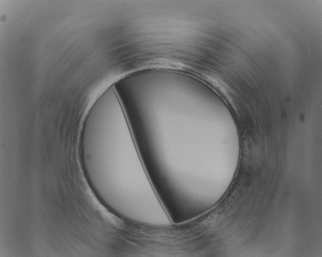 X0000089831379200706280928